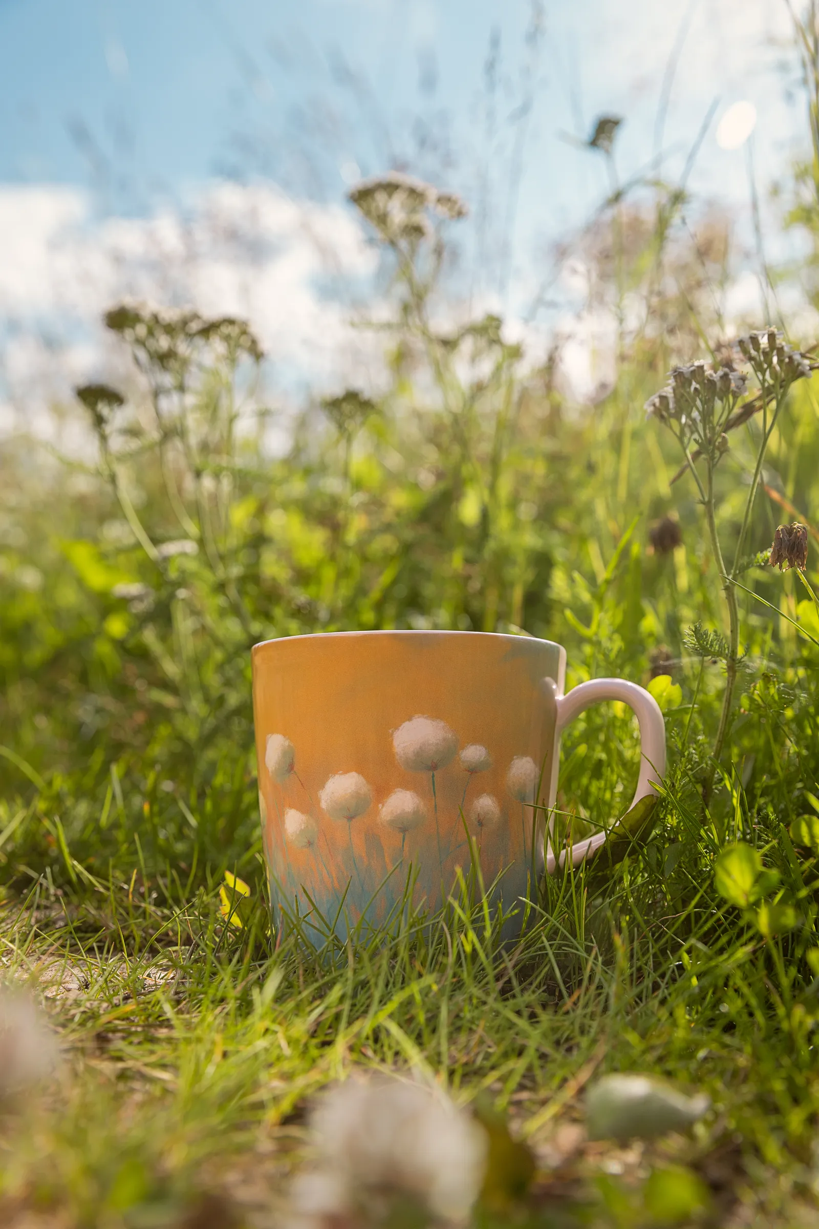 A View of Arctic Cotton