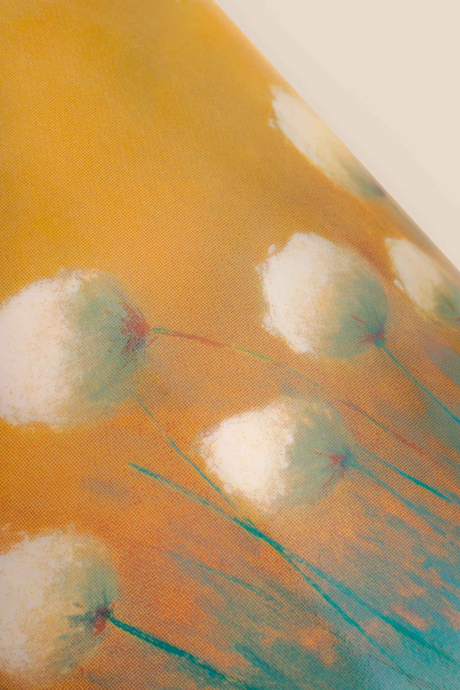 A View of Arctic Cotton